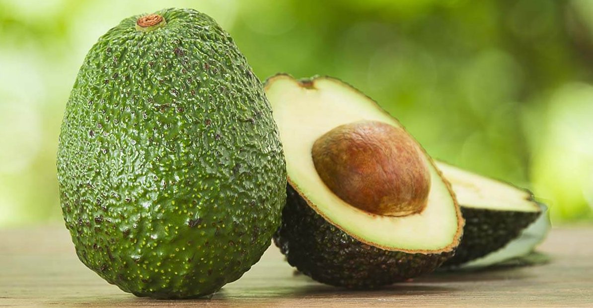 El aguacate es clave para el desarrollo de Medellín y Antioquia