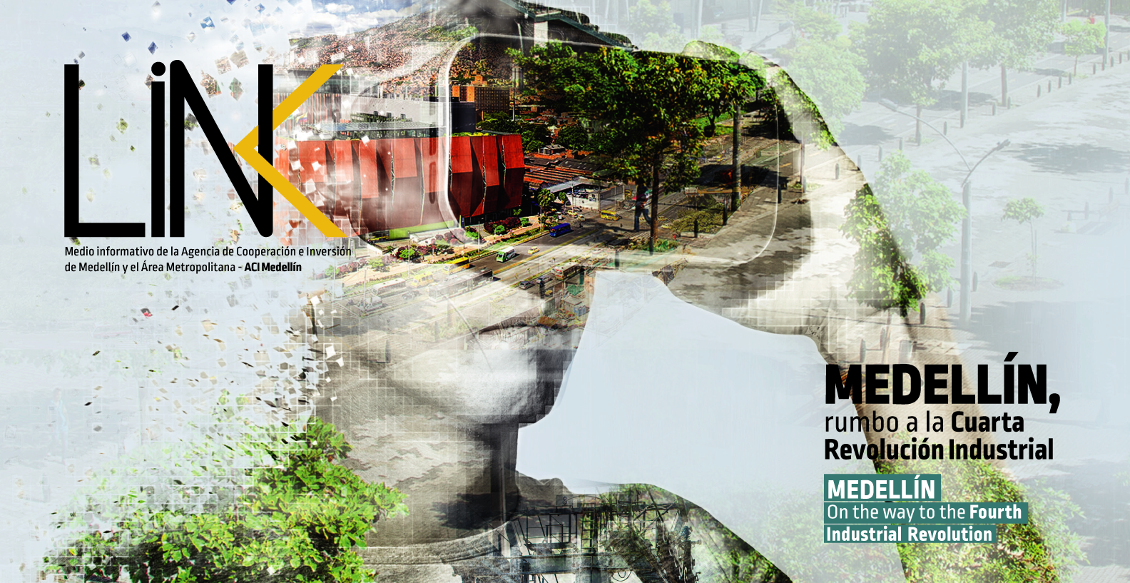 Revista Link 2019